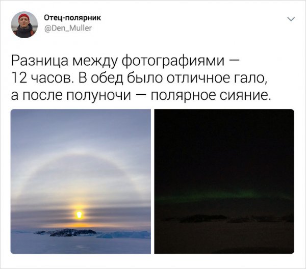 Подборка интересных твитов о жизни в Антарктиде