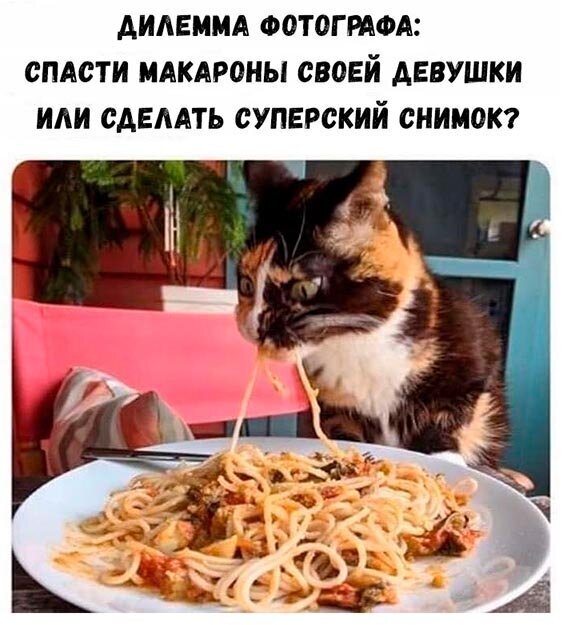 Прикольные и смешные картинки