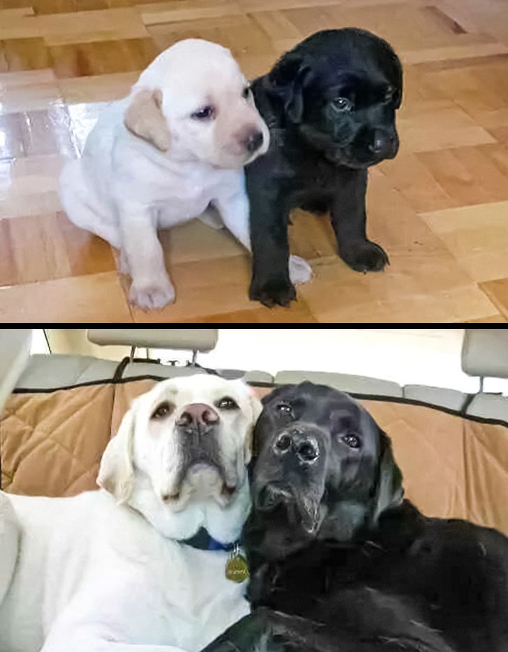 20 фото, которые доказывают, что время меняет все, кроме истинной любви