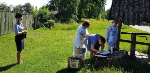 Как проходит голосование по поправкам в Конституцию на просторах нашей страны