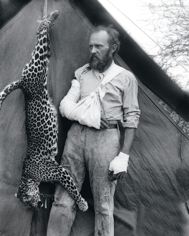 Фото №5 - Крупный домашний кот: как человечество пыталось приручить больших кошек