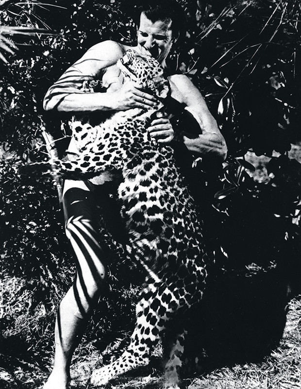 Фото №8 - Крупный домашний кот: как человечество пыталось приручить больших кошек