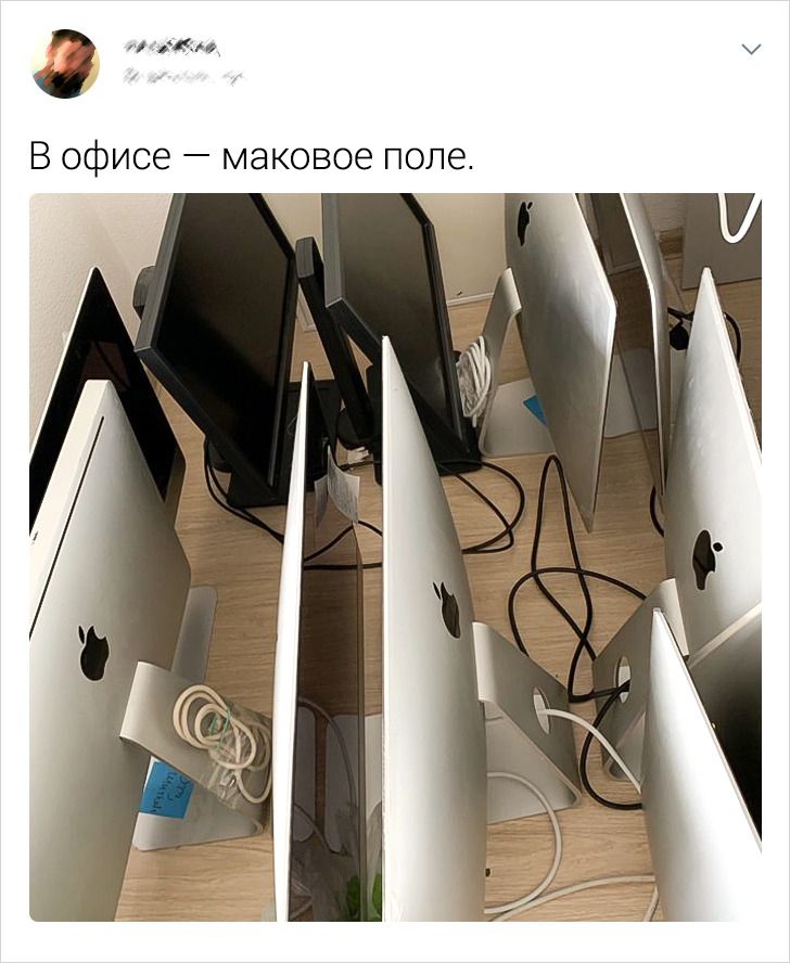 20+ историй о коллегах, которые бесят похлеще бумаги, вечно заедающей в принтере