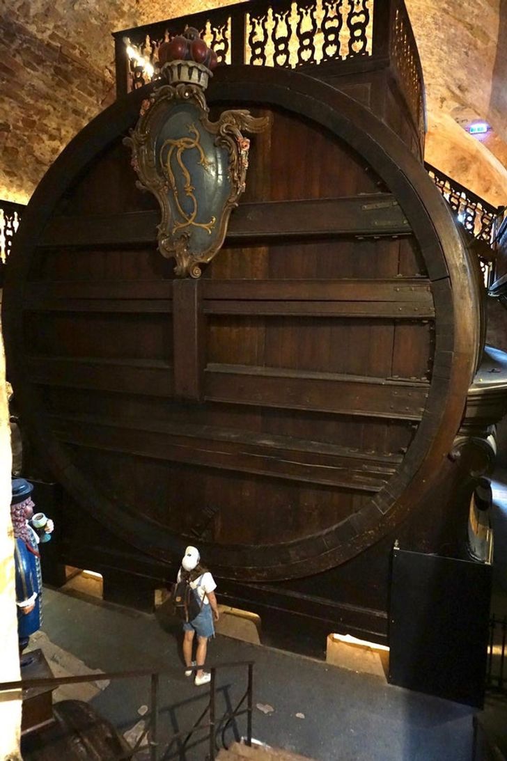 15+ вещей и животных, от реального размера которых глаза на лоб полезут