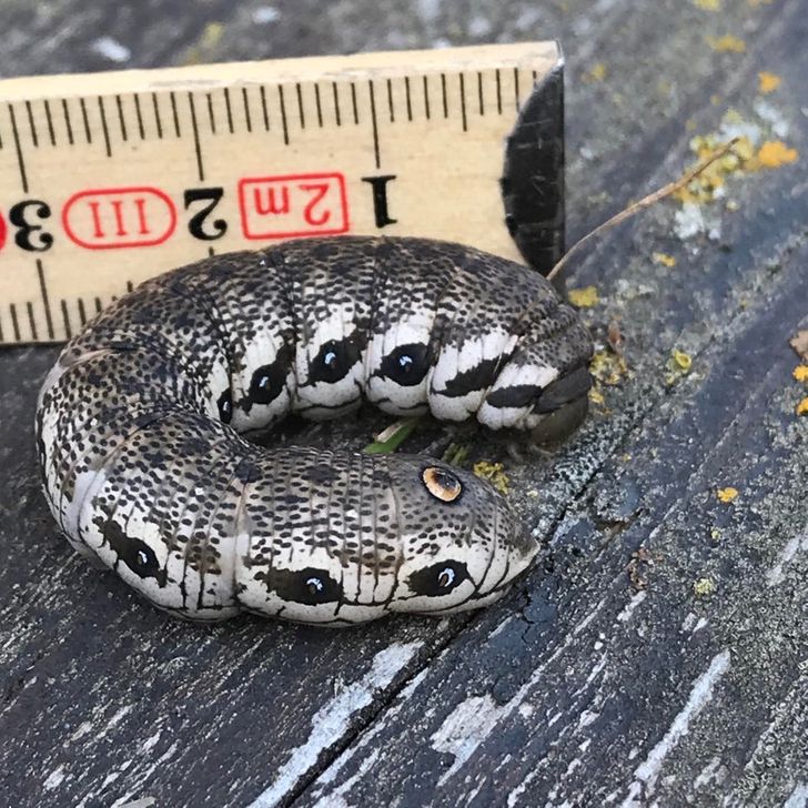 18 человек, которые просто смотрели по сторонам, а нашли природные феномены