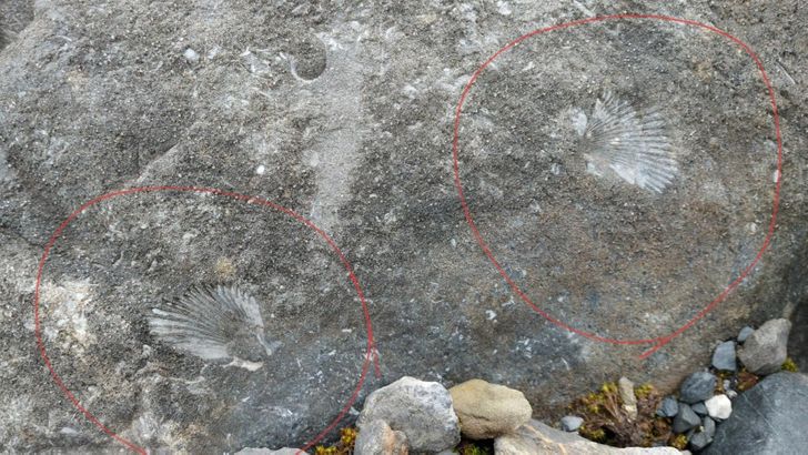 18 человек, которые просто смотрели по сторонам, а нашли природные феномены