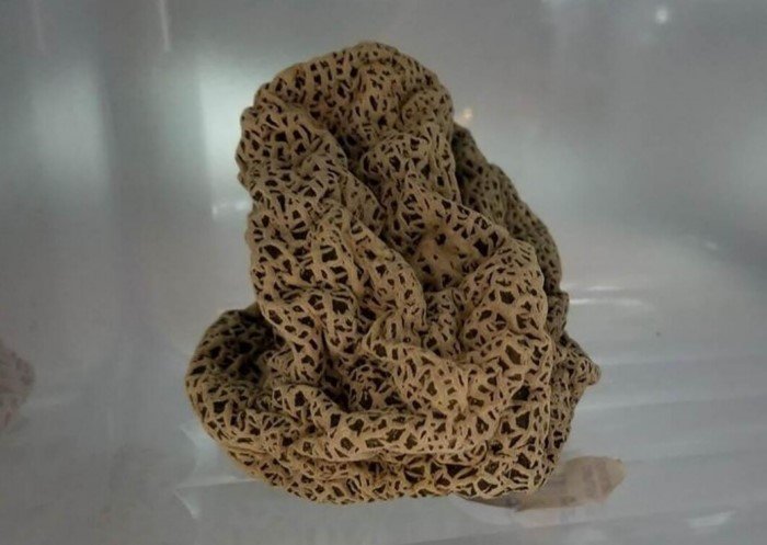 18 наглядных и бескомпромиссных ответов на вопрос из серии «А что произойдет, если…?»