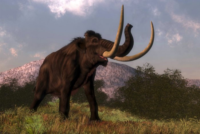От чего вымерли последние мамонты