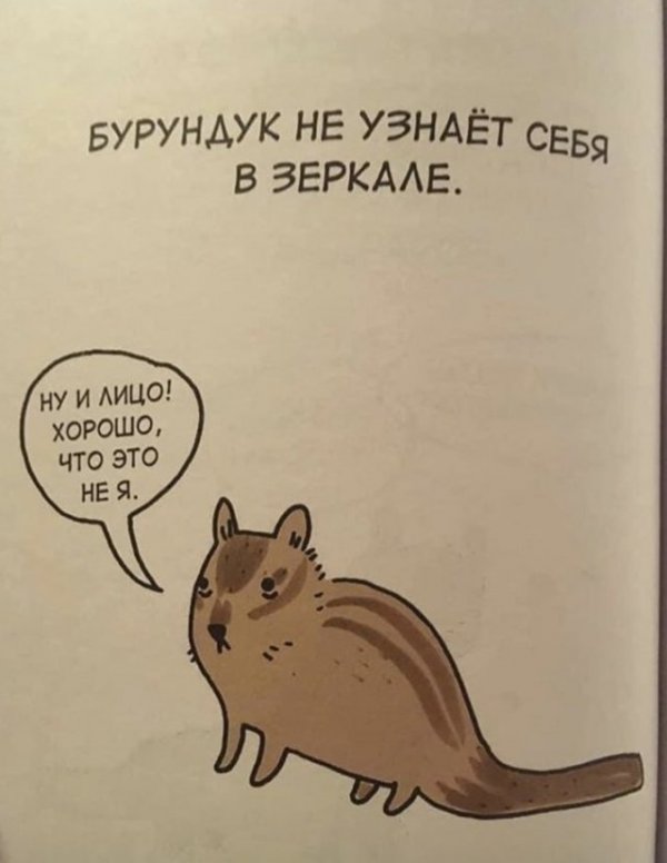 Грустные факты о животных, от которых становится смешно