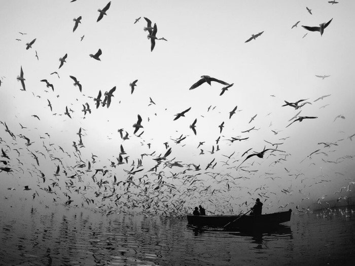 Лучшие черно-белые фотографии 2020