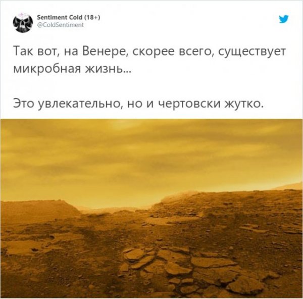 Есть ли жизнь на Венере? Шутки и мемы про главное открытие этого года