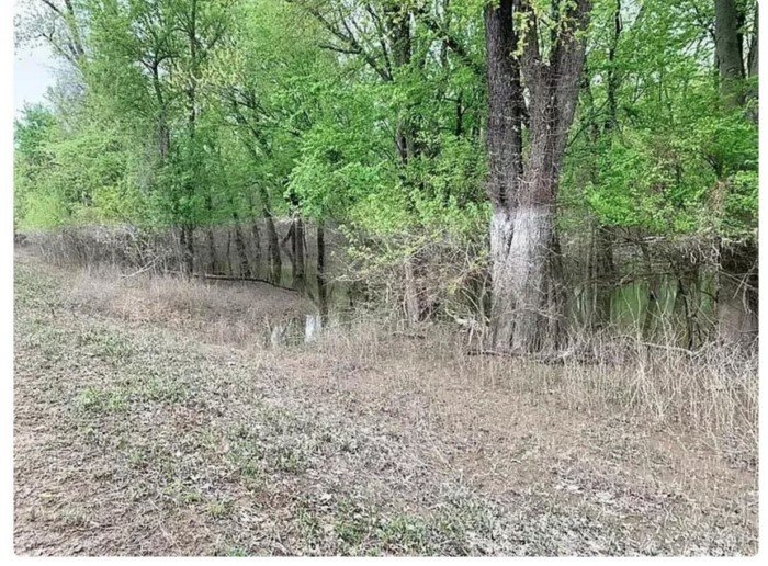 15 увлекательных фотофактов, которые рассказывают обо всем на свете 15 увлекательных фотофактов, которые рассказывают обо всем на свете