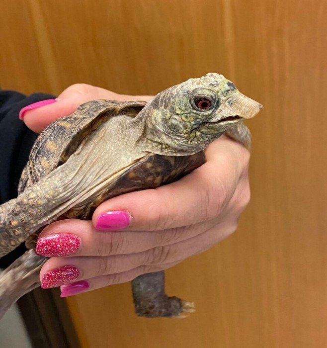 15 увлекательных фотофактов, которые рассказывают обо всем на свете 15 увлекательных фотофактов, которые рассказывают обо всем на свете