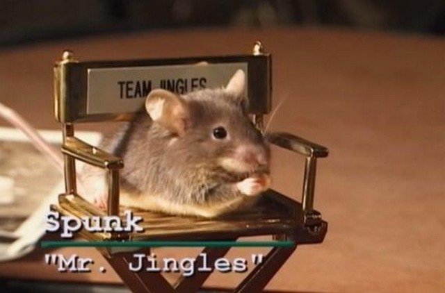 Винегрет из исторических кадров