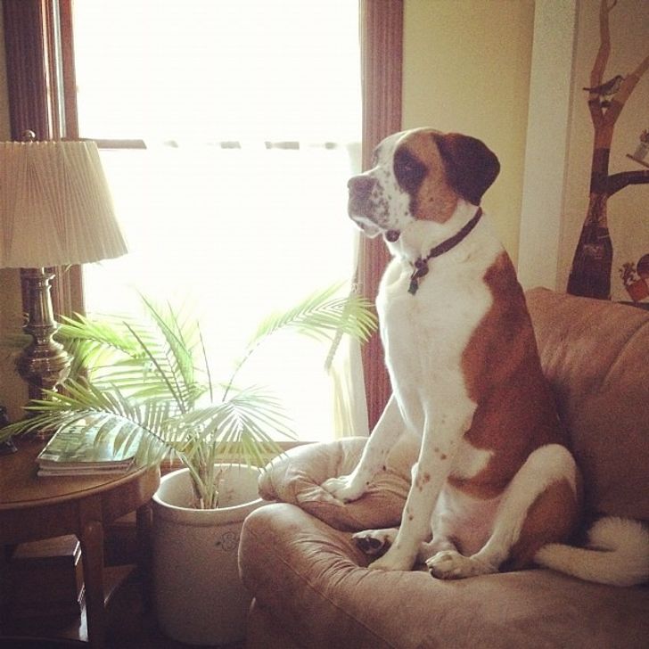 15 обожаемых нами вещей, которые никогда не купят иностранцы