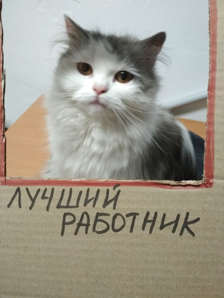 17 человек, которые на себе испытали силу волшебных совпадений