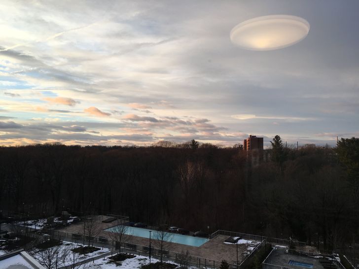 18 фото, на которых птичка вылетела в нужный момент