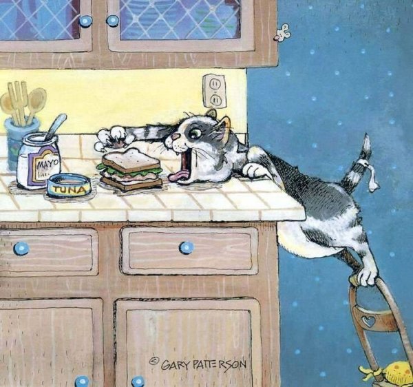 Гэри Паттерсон и его забавные кошки Гэри Паттерсон и его забавные кошки