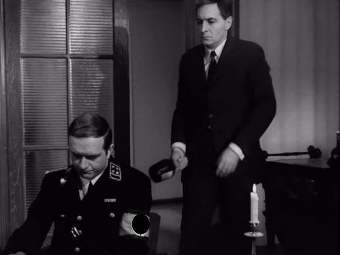 Бил ли Штирлиц Холтоффа бутылкой по голове?