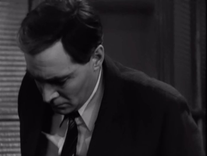 Бил ли Штирлиц Холтоффа бутылкой по голове?