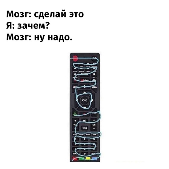 Бессмысленные, но интересные занятия, которые нам подсказывает сделать моз