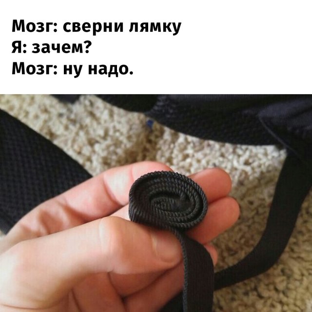 Бессмысленные, но интересные занятия, которые нам подсказывает сделать моз