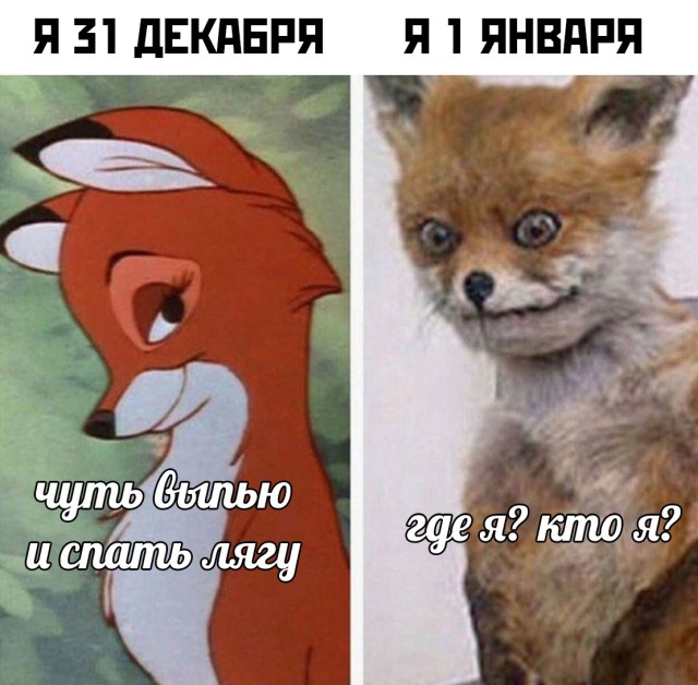 Смешные картинки 31 декабря 2020