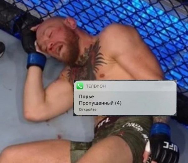 «Конор уснул». Нокаутированный Макгрегор стал мемом