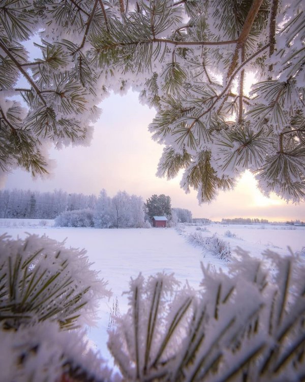 Красота зимней Финляндии на снимках Юкка Рисикко Красота зимней Финляндии на снимках Юкка Рисикко