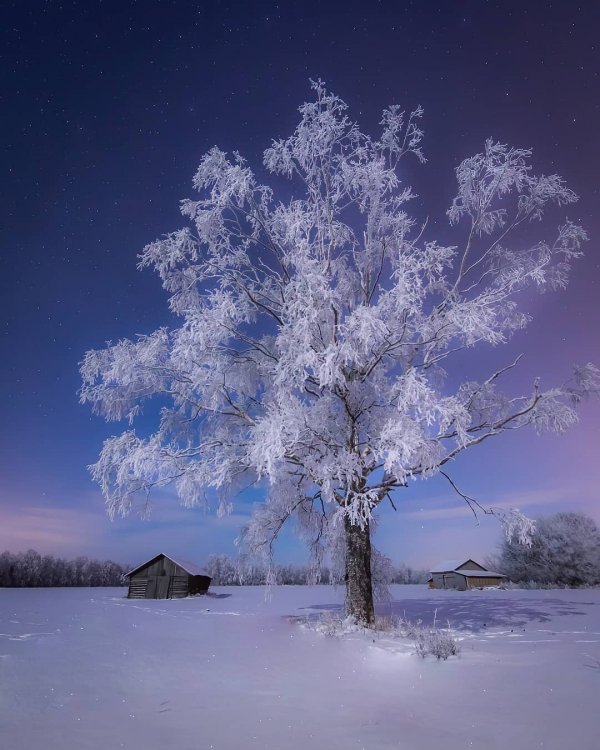 Красота зимней Финляндии на снимках Юкка Рисикко Красота зимней Финляндии на снимках Юкка Рисикко