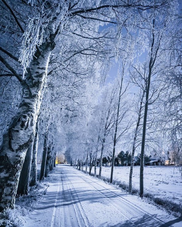 Красота зимней Финляндии на снимках Юкка Рисикко Красота зимней Финляндии на снимках Юкка Рисикко