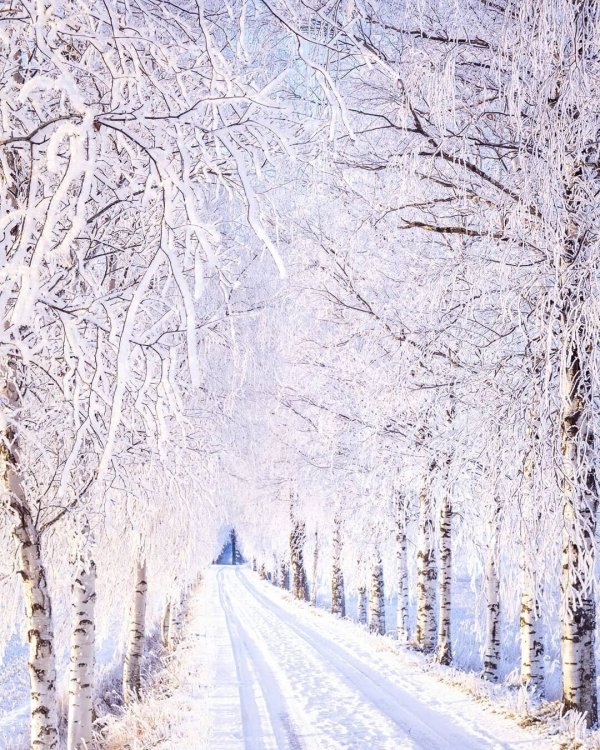 Красота зимней Финляндии на снимках Юкка Рисикко Красота зимней Финляндии на снимках Юкка Рисикко