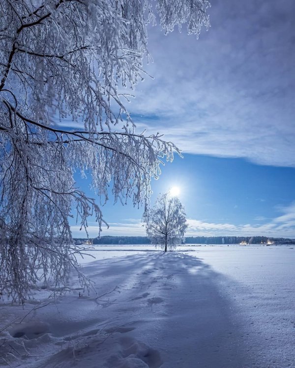 Красота зимней Финляндии на снимках Юкка Рисикко Красота зимней Финляндии на снимках Юкка Рисикко