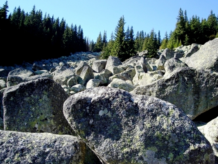 Курум в Болгарии. /Фото: wikipedia.org Курум в Болгарии. /Фото: wikipedia.org