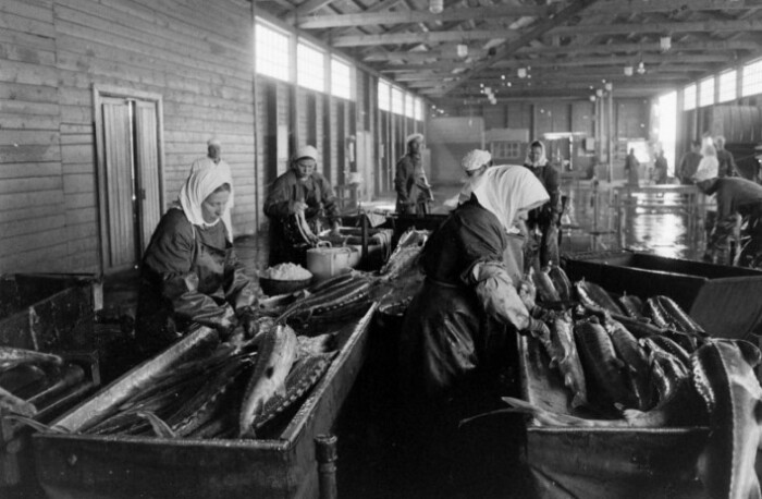 Коррупция была на всех этапах рыбной промышленности.