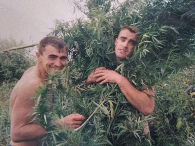 На конопляном поле, 1990-е