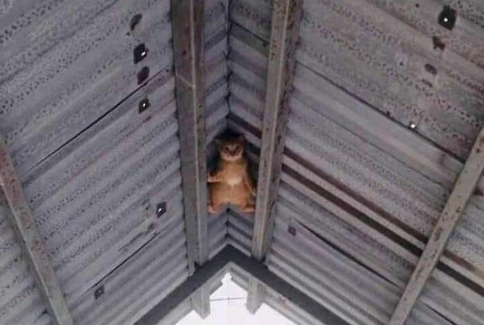 Помоги мне!