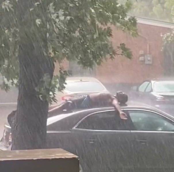 Смешные картинки 11 мая 2021