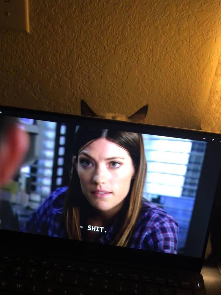 Смешные картинки 11 мая 2021