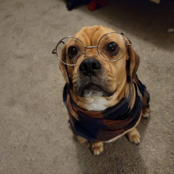 Смешные картинки 12 мая 2021