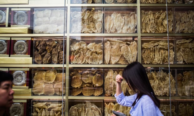 Фото №4 - 5 самых странных черных рынков нашей планеты