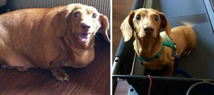 Удивительная трансформация. Так держать!