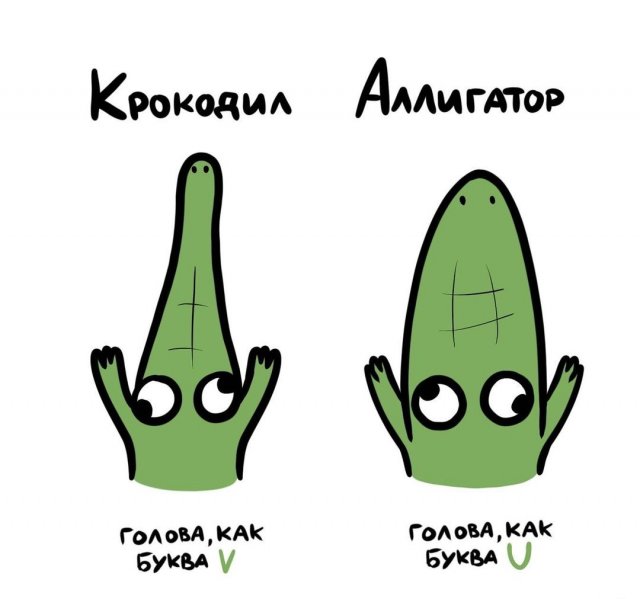 &amp;quot;Не перепутай!&amp;quot;: забавные подсказки о вещах и понятиях, которые люди часто путают