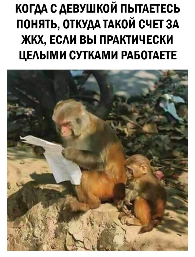 Смешные картинки 25 мая 2021 года