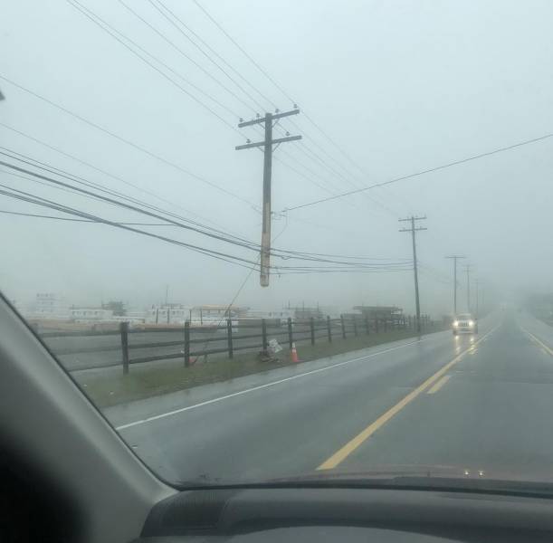 Смешные картинки 25 мая 2021 года