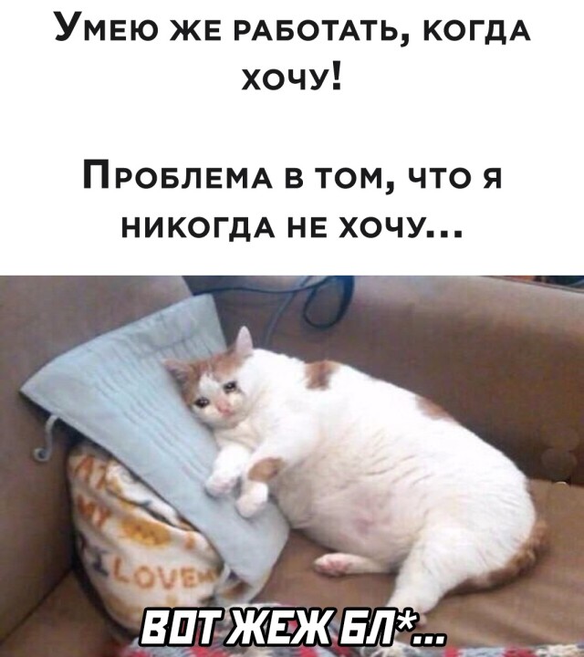 Смешные картинки 25 мая 2021 года