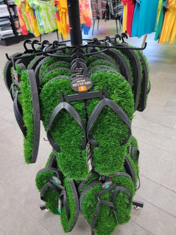 Сланцы с персональным газоном под ногами