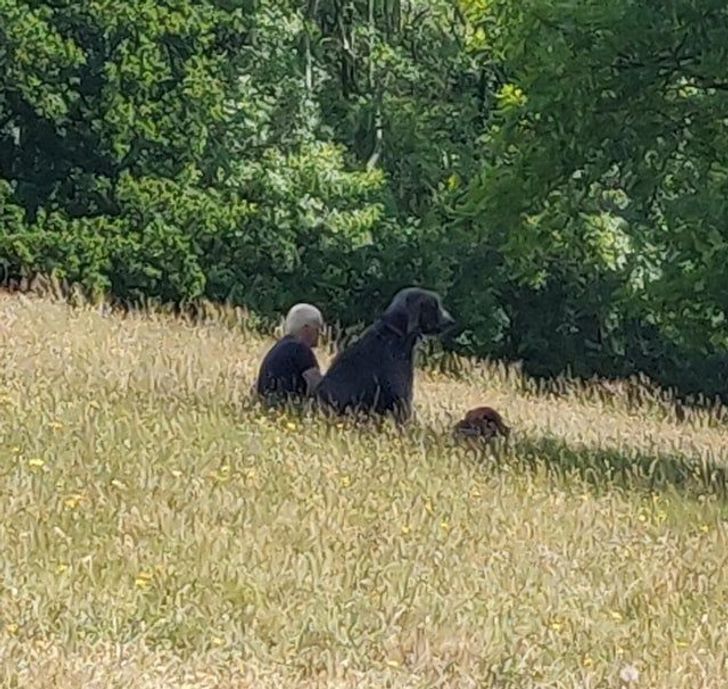 18 габаритных животных, у которых размер — главный козырь в любых вопросах