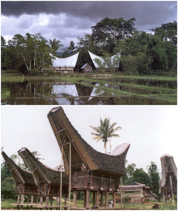 Ни окон, ни дверей – традиционное жилище батаков (Индонезия).