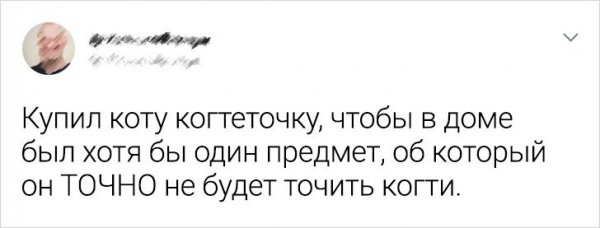 Подборка забавных твитов